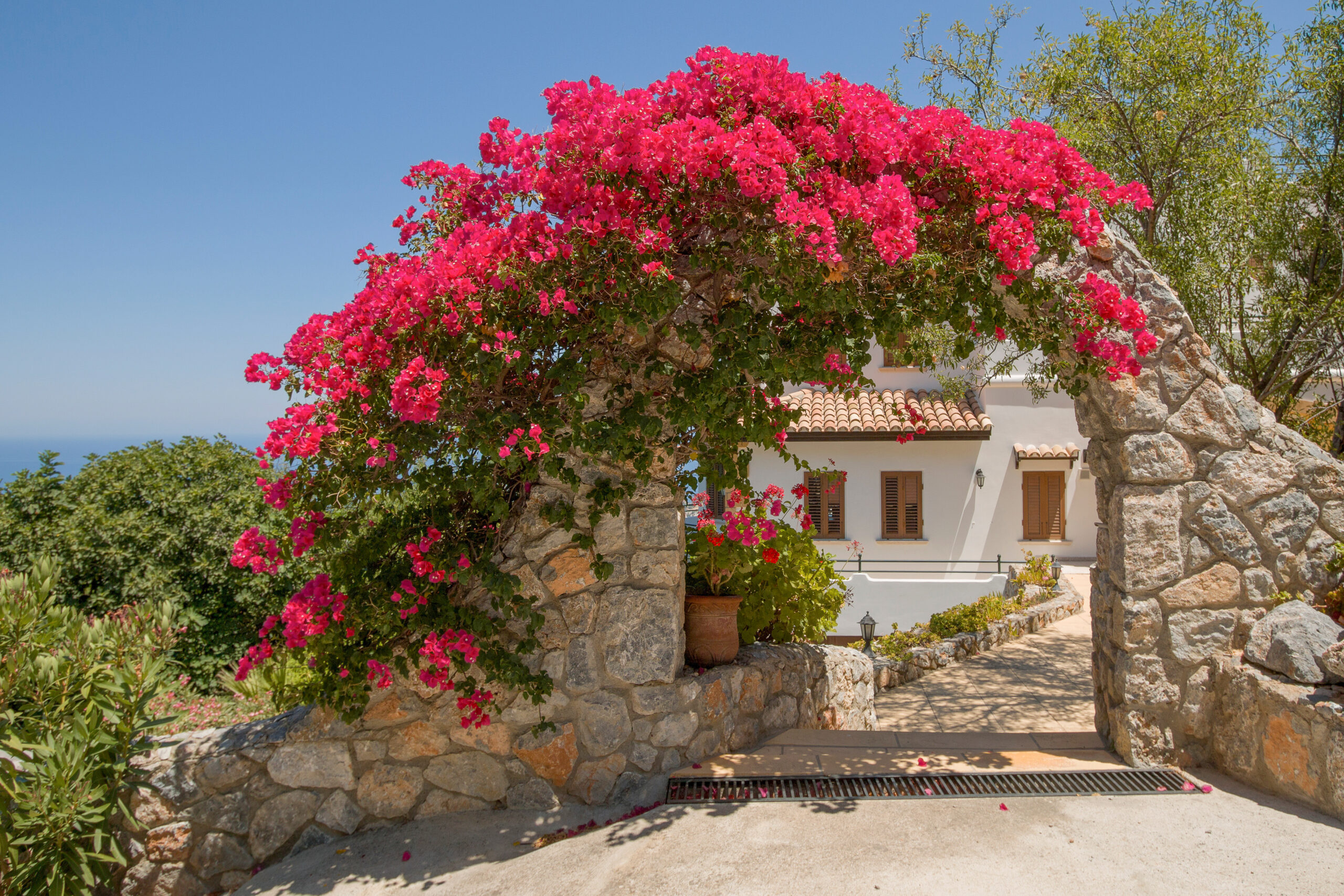 Bougainvillea overgrown arch with traditional house in the background.