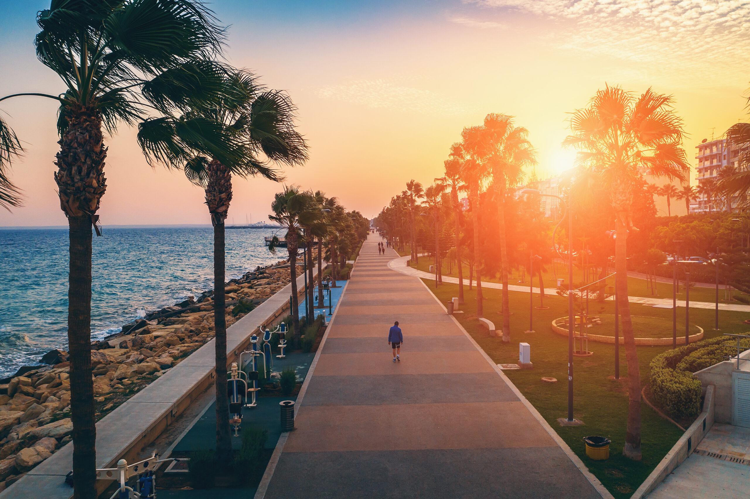 Promenade or embankment at sunset. Aerial view of alley with palms trees.