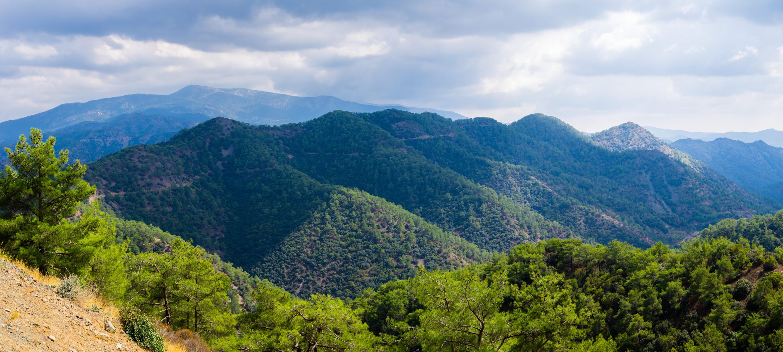 Panoramic top view over mountain range with green hills and pine forests in front of a cloudy sky.